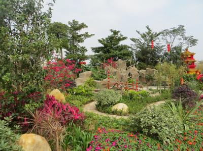 廣州園林博覽會 白云公園新春盛景，過年期間絕佳去處